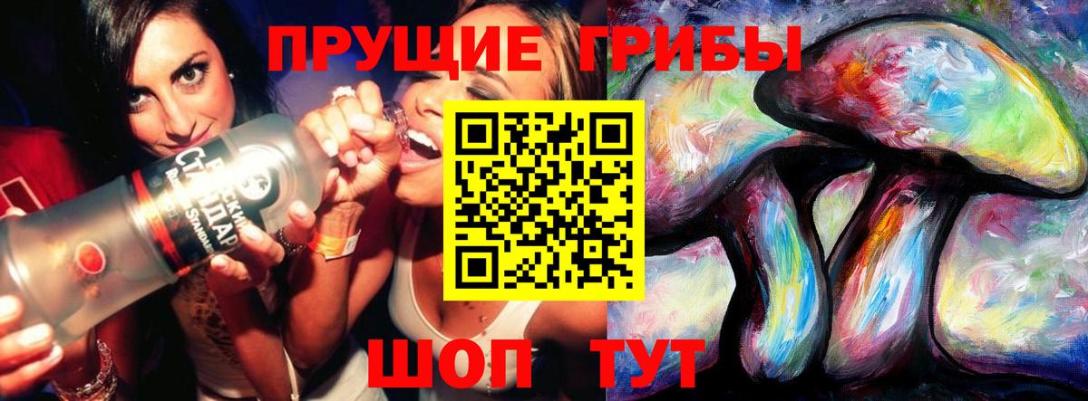 Псилоцибиновые грибы GOLDEN TEACHER Димитровград