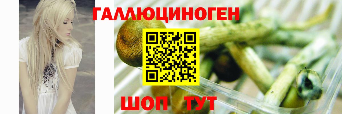  Кокаин Димитровград